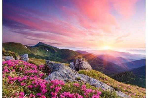 探寻己卯命的吉祥分金,开启好运之门! 探寻己卯命的吉祥分金,开启好运之门!