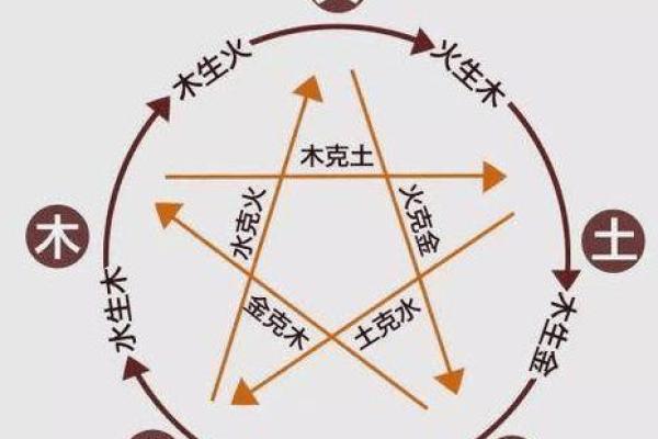 木命多金如何选择颜色,解锁运势提升的秘密 木命多金如何选择颜色,解锁运势提升的秘密