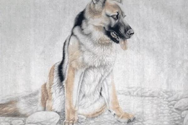 94年属狗,豁达心态的人生哲学与命运解读 94年属狗,豁达心态的人生哲学与命运解读