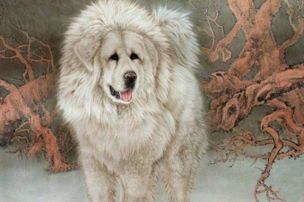 94年属狗,豁达心态的人生哲学与命运解读 94年属狗,豁达心态的人生哲学与命运解读