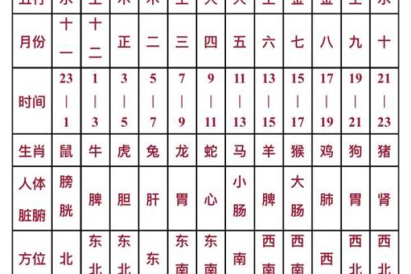 明年蛇宝宝的命运解析:命理与性格的深刻探讨 明年蛇宝宝的命运解析:命理与性格的深刻探讨