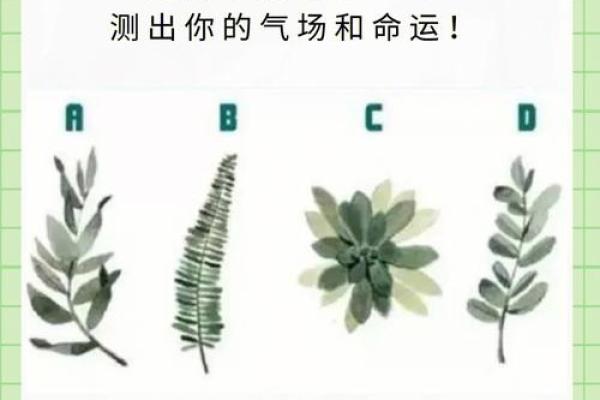 大龄单身者的命格解析：探寻背后的心理与命运!