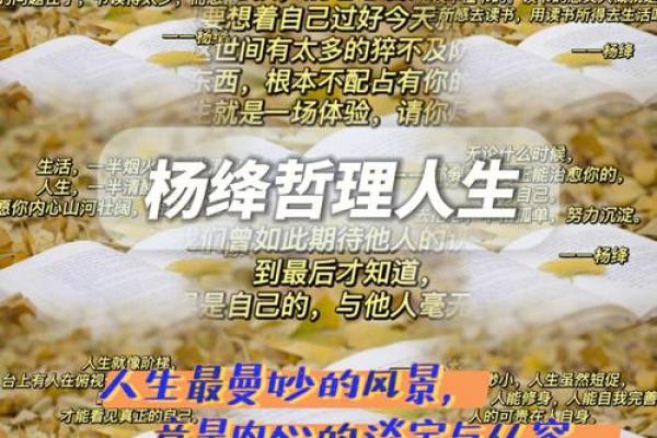 92年与19年的命运轨迹,探寻人生的转折与启示 92年与19年的命运轨迹,探寻人生的转折与启示