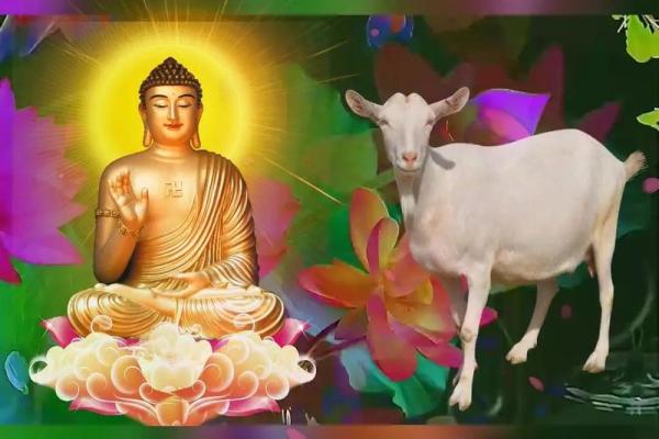 1967年属羊:温柔与坚定的完美结合 1967年属羊:温柔与坚定的完美结合