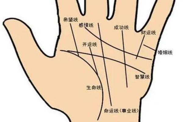 女人右断掌:揭示你的命运与个性秘密 女人右断掌:揭示你的命运与个性秘密