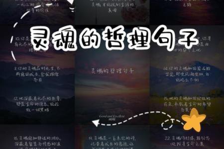 离9命与兑7命的奥秘：探索命格背后的深厚哲理