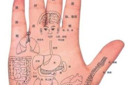 小手指的弯曲与命运之间的奇妙联系