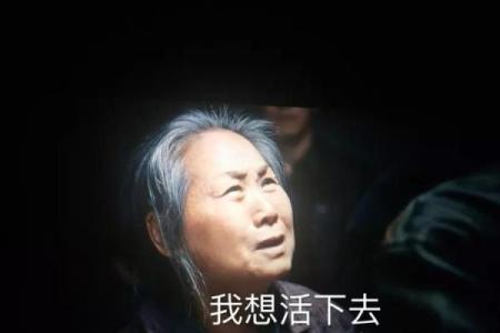 《拿钱换命》：一场扣人心弦的生死较量