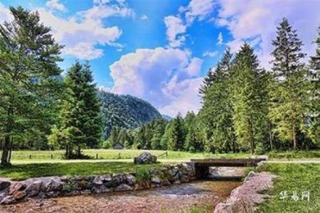 兔宝宝正月出生，命理揭秘与人生指南