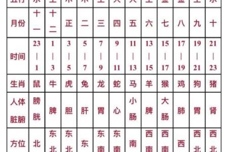 明年蛇宝宝的命运解析：命理与性格的深刻探讨