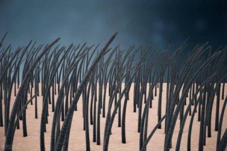 男人没有腿毛，是时尚的选择还是生理的自然？