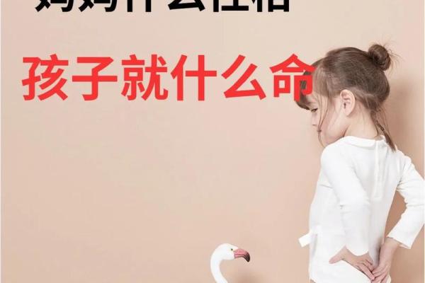 1987年出生的人是什么命,解析命运与性格的奥秘 1987年出生的人是什么命,解析命运与性格的奥秘