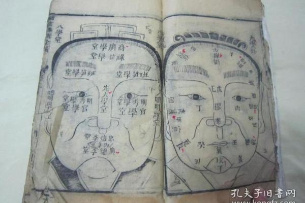 命理学格局透析:深度解读个人命运与人生舞台的奥秘 命理学格局透析:深度解读个人命运与人生舞台的奥秘