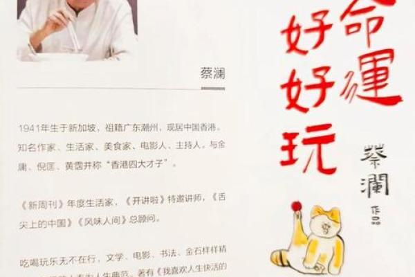 1987年男兔:命运分析与人生智慧探寻 1987年男兔:命运分析与人生智慧探寻