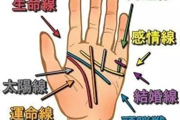 探索绝命命理的奥秘:揭开生命的神秘面纱 探索绝命命理的奥秘:揭开生命的神秘面纱