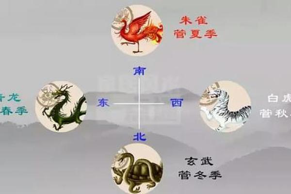 男子木命佩戴饰品的选择与风水影响探讨 男子木命佩戴饰品的选择与风水影响探讨