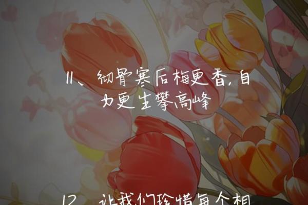 认命的女人:如何在命运中找到自己的光辉 认命的女人:如何在命运中找到自己的光辉