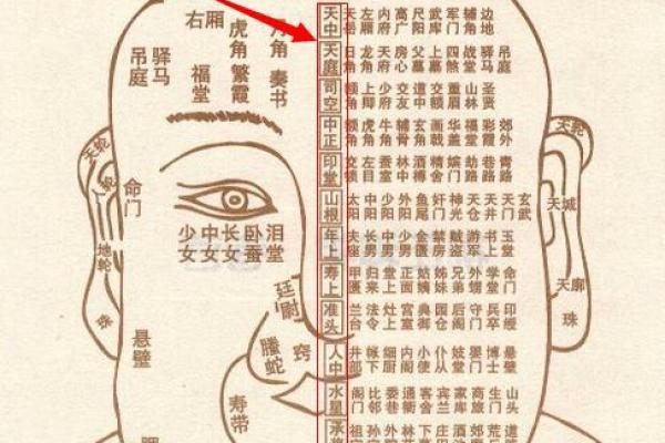 面相不好对命局的影响:如何化解运势困境? 面相不好对命局的影响:如何化解运势困境?