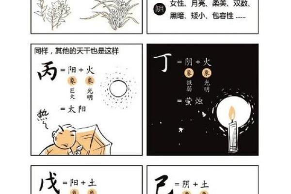 依据生辰八字判断命运,探索自我命理的深奥之道 依据生辰八字判断命运,探索自我命理的深奥之道