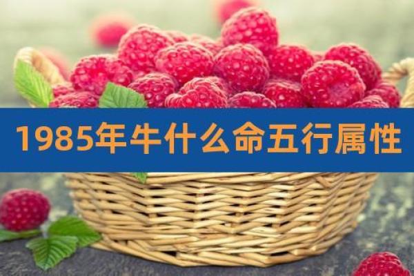 1959年属猪的土命特征与生活智慧 1959年属猪的土命特征与生活智慧