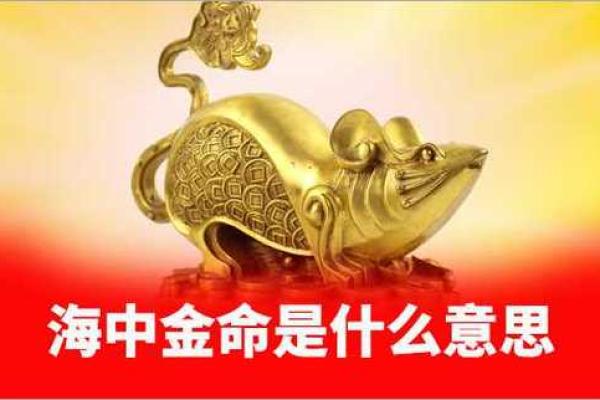 海中金命与数字的神秘联系:寻找你的幸运数字 海中金命与数字的神秘联系:寻找你的幸运数字