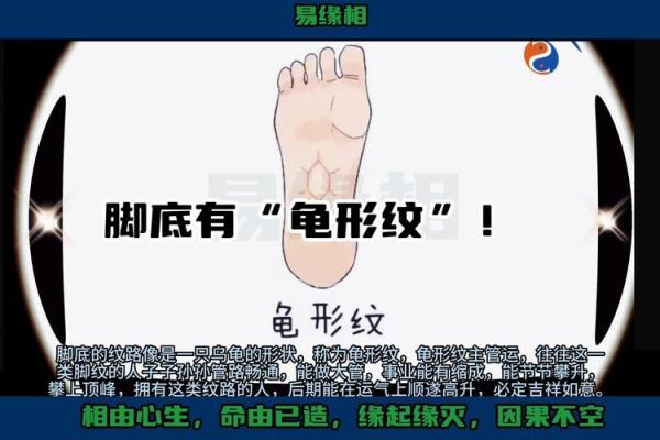 掌握命运:你脚掌的大小揭示了你的性格与命运 掌握命运:你脚掌的大小揭示了你的性格与命运