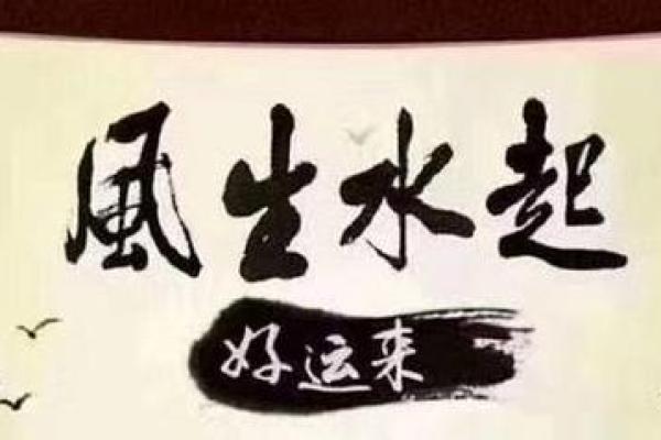 命里水旺如何调整风水,提升运势与生活品质 命里水旺如何调整风水,提升运势与生活品质