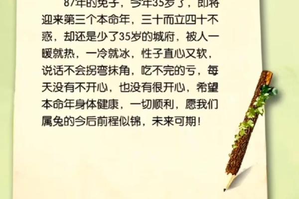 1987年出生的人属什么命?揭开命运的神秘面纱 1987年出生的人属什么命?揭开命运的神秘面纱