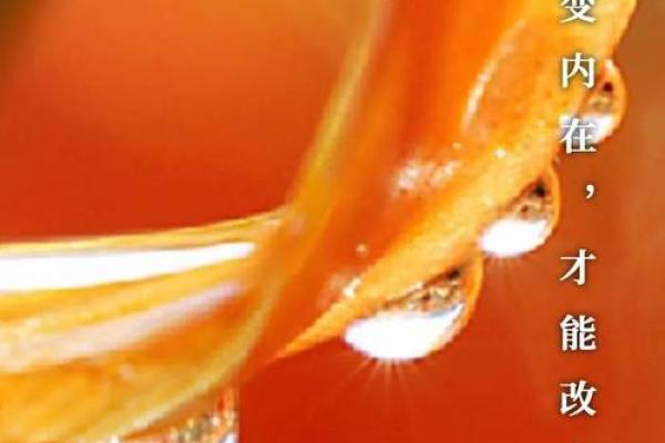 探索五行命理中的水命:流动与智慧的内在世界 探索五行命理中的水命:流动与智慧的内在世界