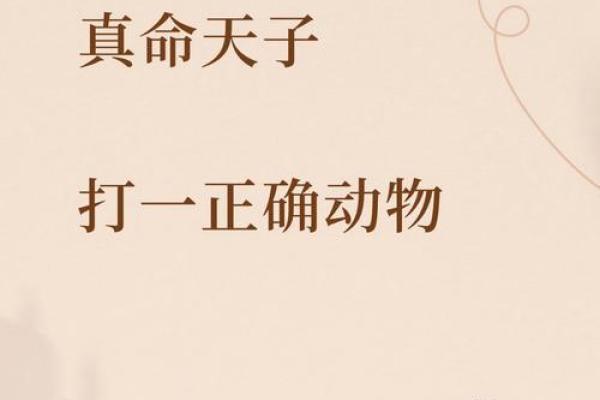 解密命尊:探寻命运背后的神秘智慧与人生意义 解密命尊:探寻命运背后的神秘智慧与人生意义