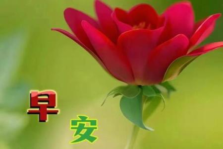 经历艰难，吃苦之人如何塑造独特命格？