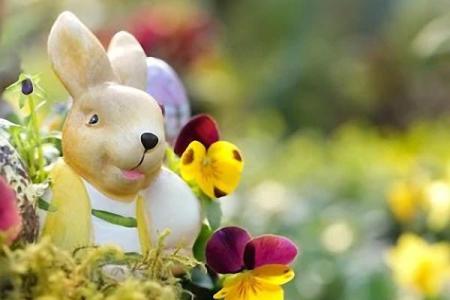 1987年出生的人：命运与性格的独特探秘