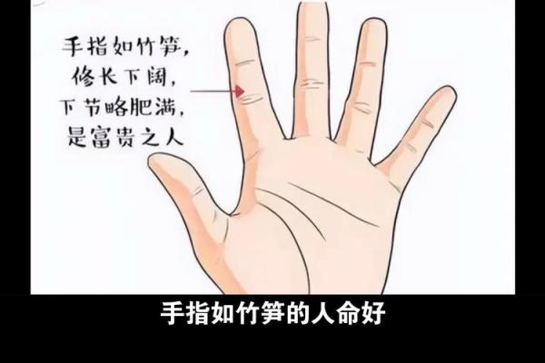揭秘手相:判别穷命与富命的关键特征! 揭秘手相:判别穷命与富命的关键特征!