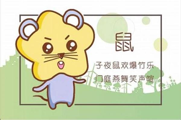 1962年属鼠之命:解析“水鼠”命格的神秘与魅力 1962年属鼠之命:解析“水鼠”命格的神秘与魅力