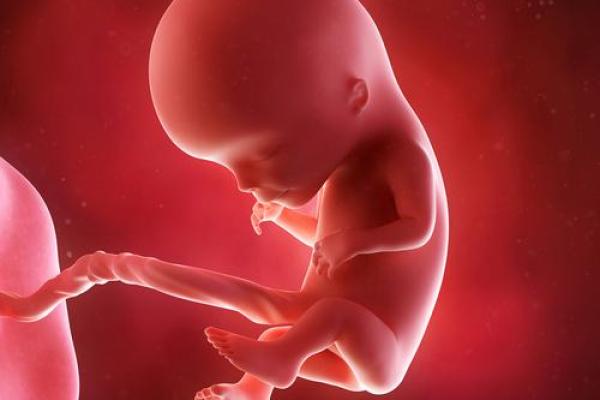 揭示宝宝命里缺什么,给孩子一个更佳的成长环境! 揭示宝宝命里缺什么,给孩子一个更佳的成长环境!