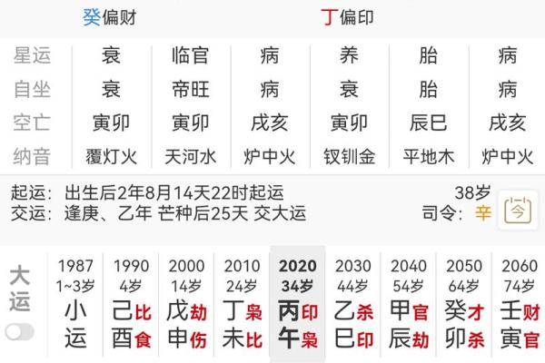 女命偏印、男命正印:命理中的深刻象征与人生启示 女命偏印、男命正印:命理中的深刻象征与人生启示