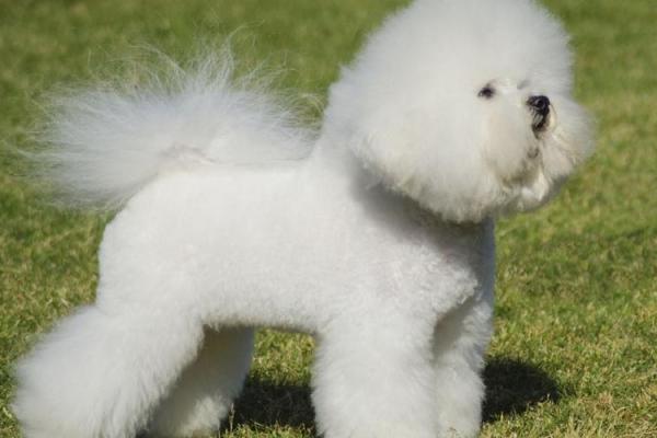 古代中国命短的多重原因探讨:文化、环境与命理的交织 古代中国命短的多重原因探讨:文化、环境与命理的交织