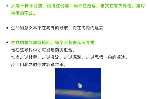 生之命,命之还:探讨生命的意义与轮回 生之命,命之还:探讨生命的意义与轮回