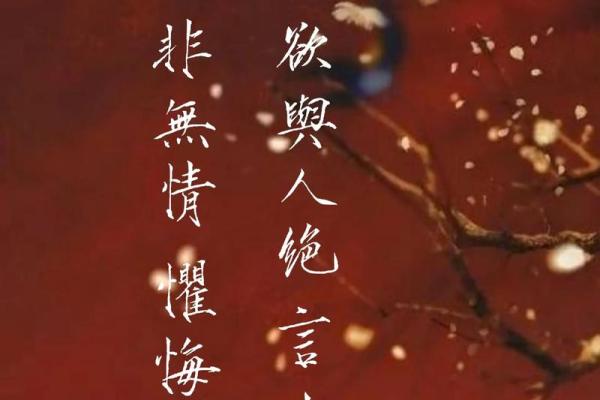 淡命:生活中的释然与理解之道 淡命:生活中的释然与理解之道