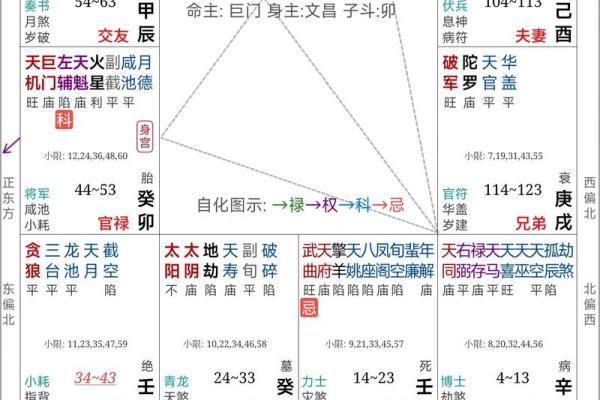 揭示命盘奥秘:从星象看人生的方向与选择 揭示命盘奥秘:从星象看人生的方向与选择