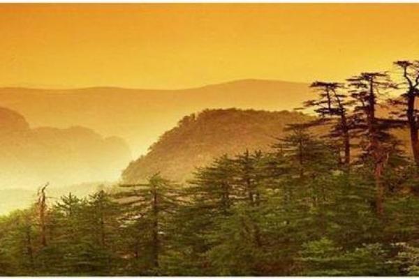 丧父丧母命格解析:命运中的暗流及如何转变人生轨迹 丧父丧母命格解析:命运中的暗流及如何转变人生轨迹