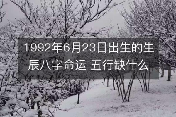 1992年出生的人命运解析：解读性格与未来发展