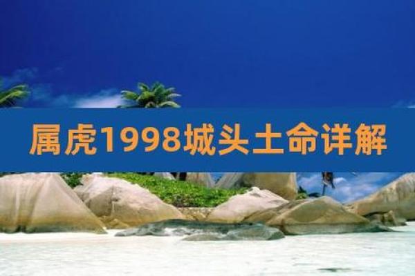 1995年出生的朋友，你的土命是如何影响你的命运的？