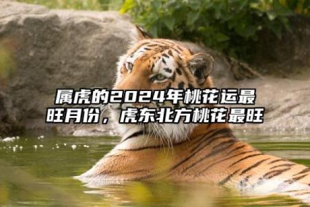 1986年属虎：探索火命的神秘与魅力