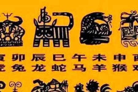 2028年：生肖龙年，运势亨通的一年，如何把握机遇？