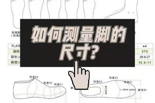 揭秘脚趾长度与命运之密：从脚看人生的奥秘