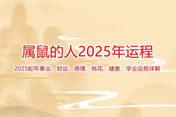 2020年属鼠的命运解析与运势提升建议 2020年属鼠的命运解析与运势提升建议