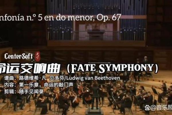 30岁以上的人生，究竟是什么命运的交响曲？