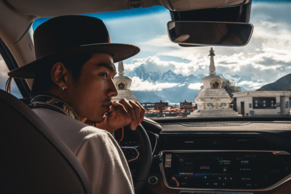 凤凰落梧桐:命中注定的美好与挑战之旅 凤凰落梧桐:命中注定的美好与挑战之旅