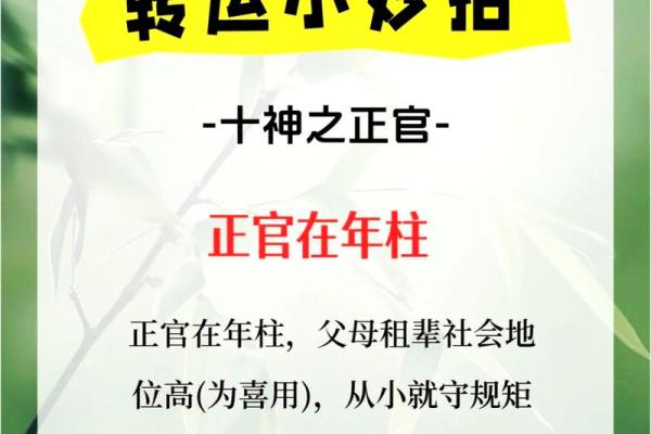 生于1954年的人，被命理学解析为“蛇”年，走进命运的奥秘之旅！